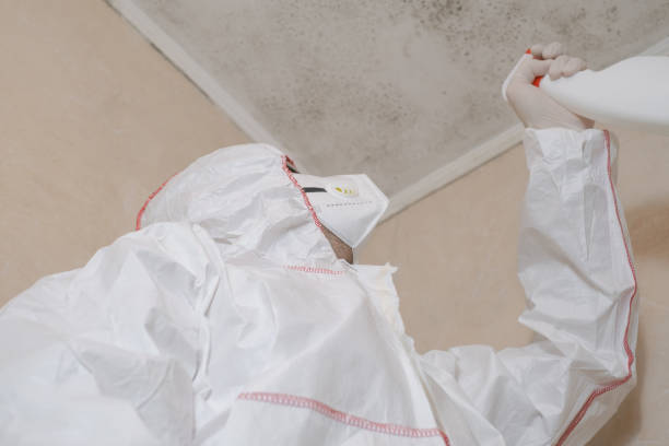 Best Attic Mold Removal  in Covington, WA